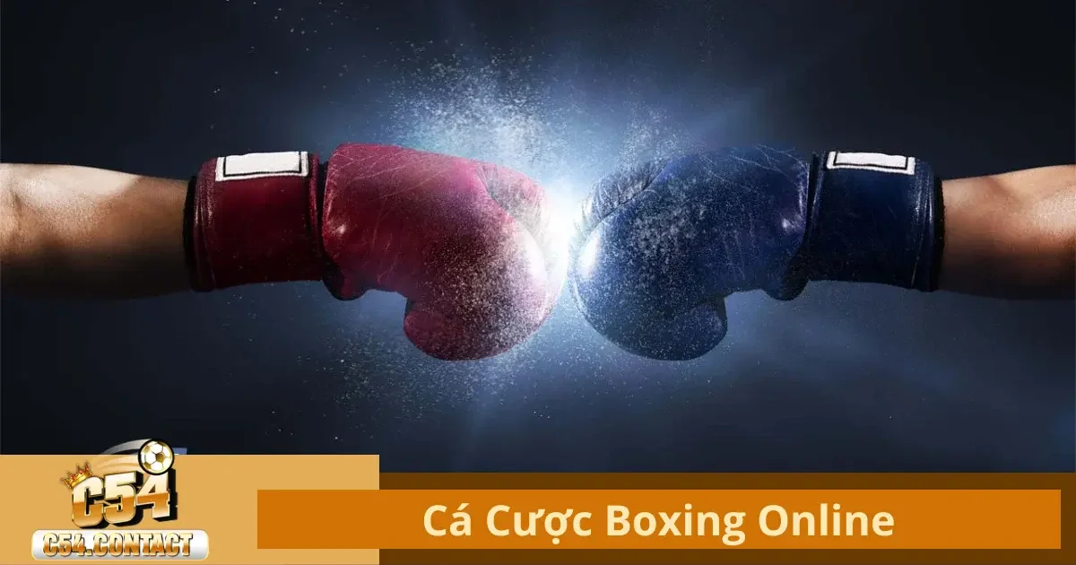 Boxing Online Là Gì? Các Loại Kèo Phổ Biến Trong Boxing