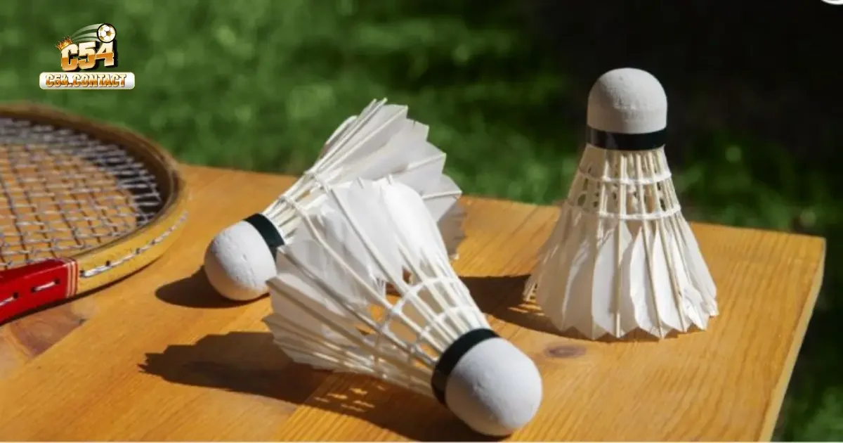 Cá Cược Cầu Lông Tại C54 – Hướng Dẫn Chọn Kèo Chính Xác 4 Làm Thế Nào Để Phân Tích Thế Trận Và Đặt Kèo Chính Xác?