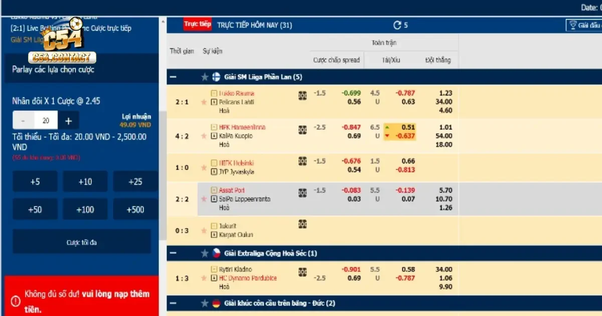 Cá Cược Khúc Côn Cầu Tại C54 – Môn Thể Thao Nhanh Thú Vị 3 Các loại kèo cá cược khúc côn cầu