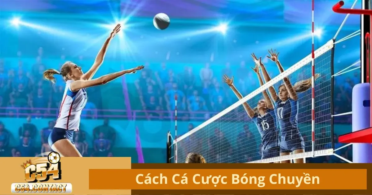 Cá Cược Bóng Chuyền Là Gì? Tìm Hiểu Luật Chơi Tại C54