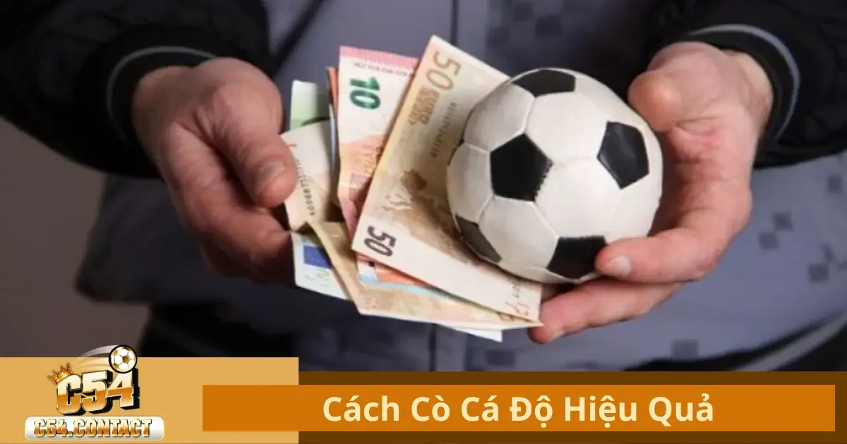 Cách Cò Cá Độ Hiệu Qủa Là Gì? Tìm Hiểu Cách Hoạt Động Tại C54