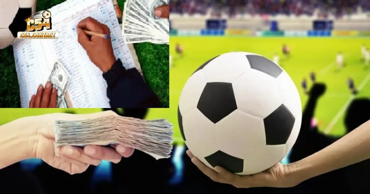 Cách Cò Cá Độ Hiệu Quả C54 – Bí Quyết Tăng Lợi Nhuận 3 Vai trò của cò cá độ trong việc xây dựng cộng đồng cá cược