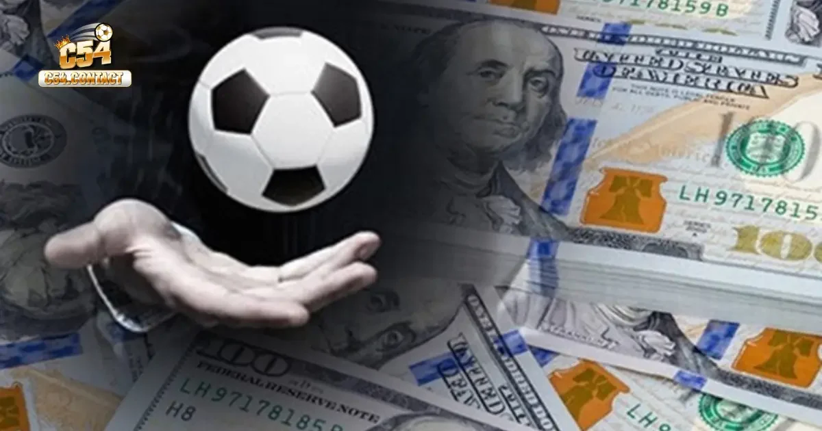 Cách Cò Cá Độ Hiệu Quả C54 – Bí Quyết Tăng Lợi Nhuận 4 Chiến Lược Phân Tích Và Tìm Kiếm Cơ Hội Khi Làm Cò Cá Độ