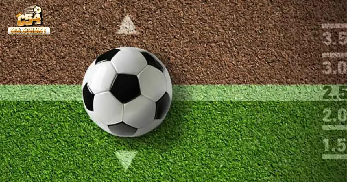 Cách Đọc Kèo Bóng Đá: Hướng Dẫn Chi Tiết Cho Người Mới 2 Cách Đọc Kèo Bóng Đá