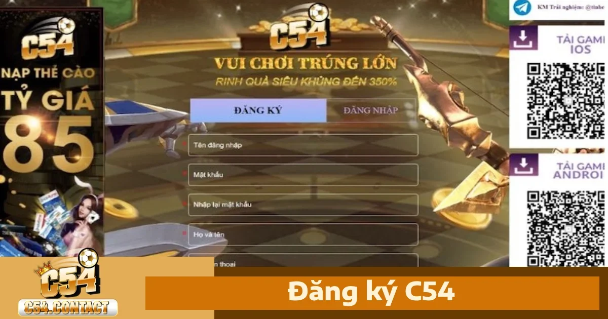 Các thông tin cần thiết để hoàn tất quy trình đăng ký C54