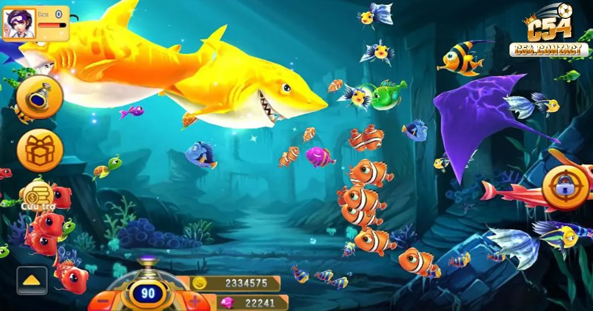 Thuật Toán Bắn Cá - Cách Vận Hành Hệ Thống Thưởng Tại C54 3 Cách để trở thành tay chơi xuất sắc