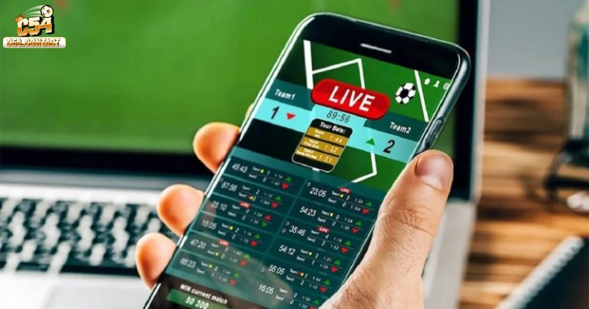 Nhà Cái Ra Kèo Dựa Trên Yếu Tố Nào? Tìm Hiểu Ngay Tại C54 3 Nghiên cứu tâm lý người chơi và xu hướng biến động của thị trường